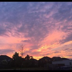 Meet your Posher, Chloe